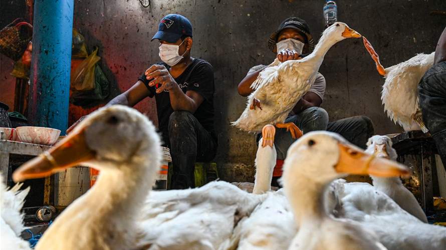 Vaccine makers prep bird flu shot for humans 'just in case'; rich nations lock in supplies