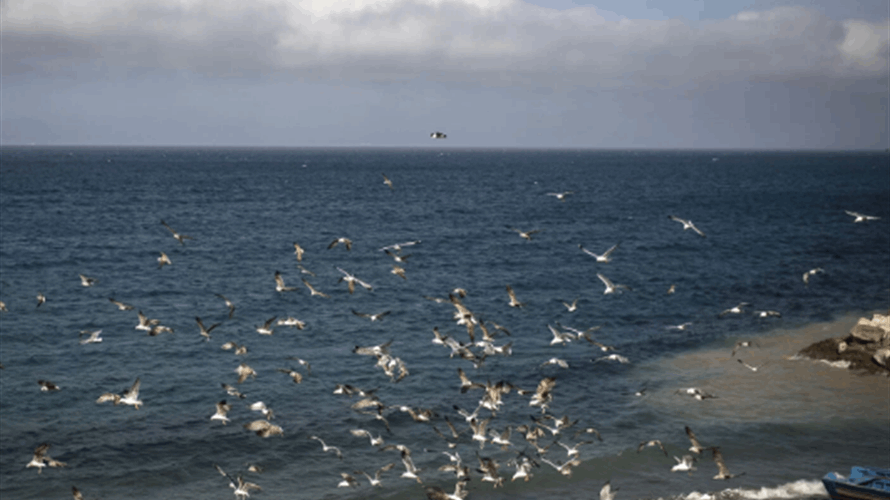 مصرع 10 بحارة اثر غرق سفينة للصيد بالمغرب