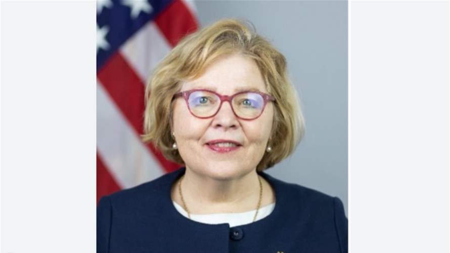 Assistant Secretary Barbara Leaf meets PSP head Walid Jumblatt    
