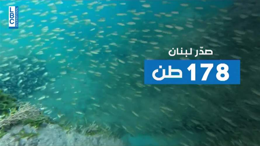 حاضنات للأسماك في لبنان للمرة الأولى!