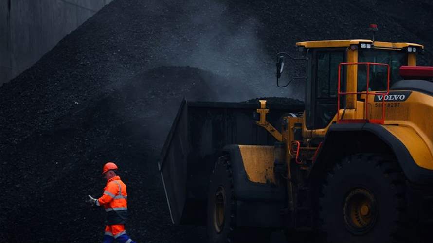 Stop insuring carbon projects 'immediately', NGOs tell CEOs 
