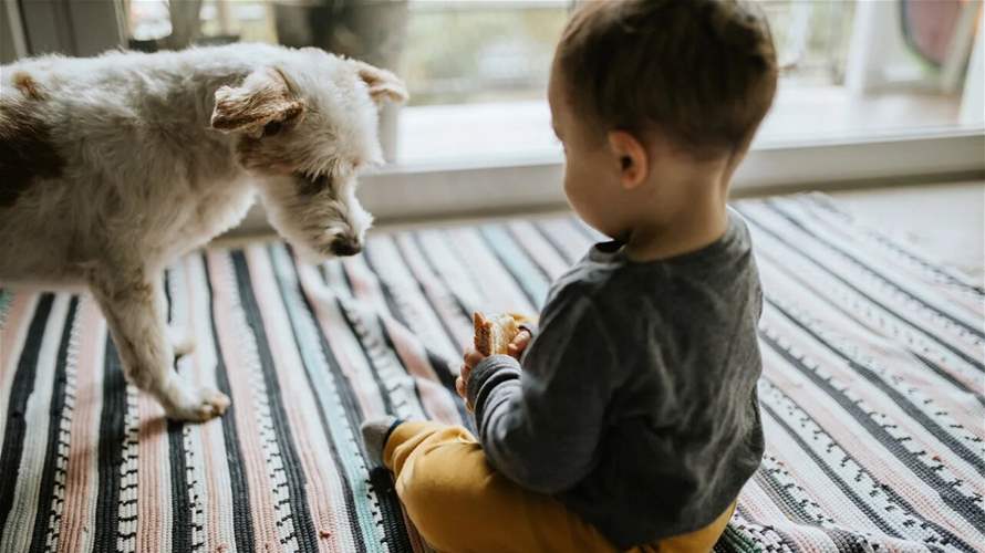 دراسة... القطط والكلاب الأليفة قد تساعد في حماية الأطفال من الحساسية الغذائية!