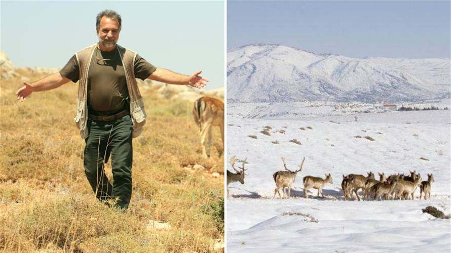 Lebanese hunter protects deer, set to repopulate species not found in Lebanon