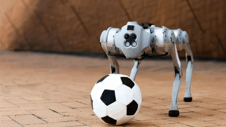 This robot dog can play football on grass, mud and sand