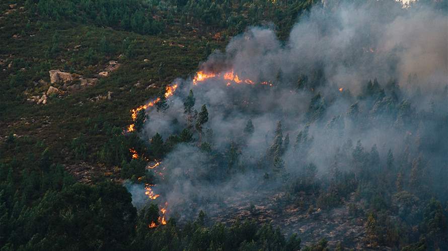 Insurance woes plague efforts to cut growing wildfire risks
