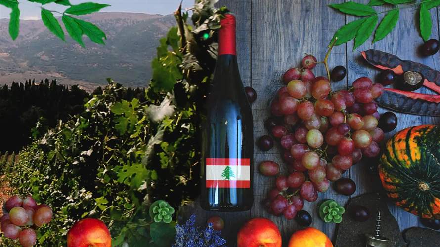 Producing millions of bottles yearly, Lebanese wine becomes Lebanon's ambassador around the world