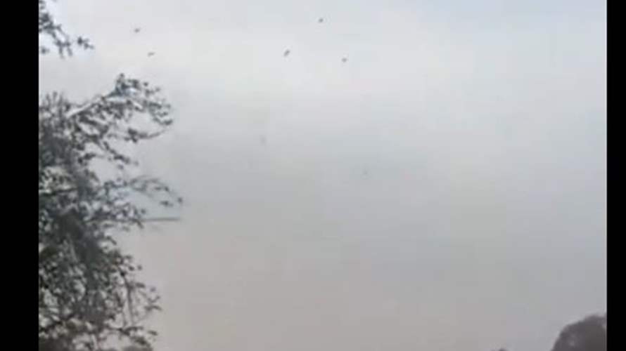 اثر فيديو يظهر إطلاق نار على الطيور المهاجرة في عكار... توقيف 3 اشخاص