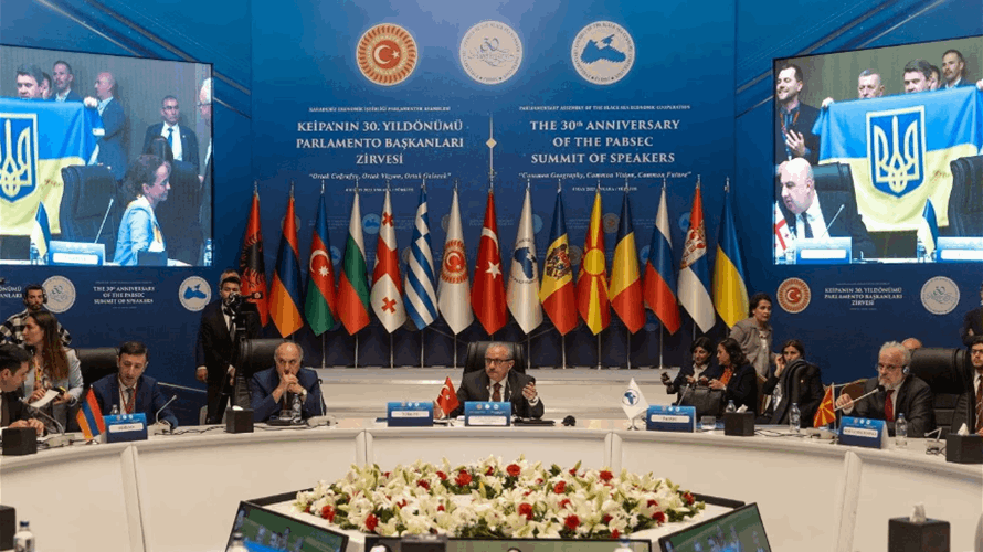 Ukraine delegate punches Russian at Black Sea nations assembly in Ankara