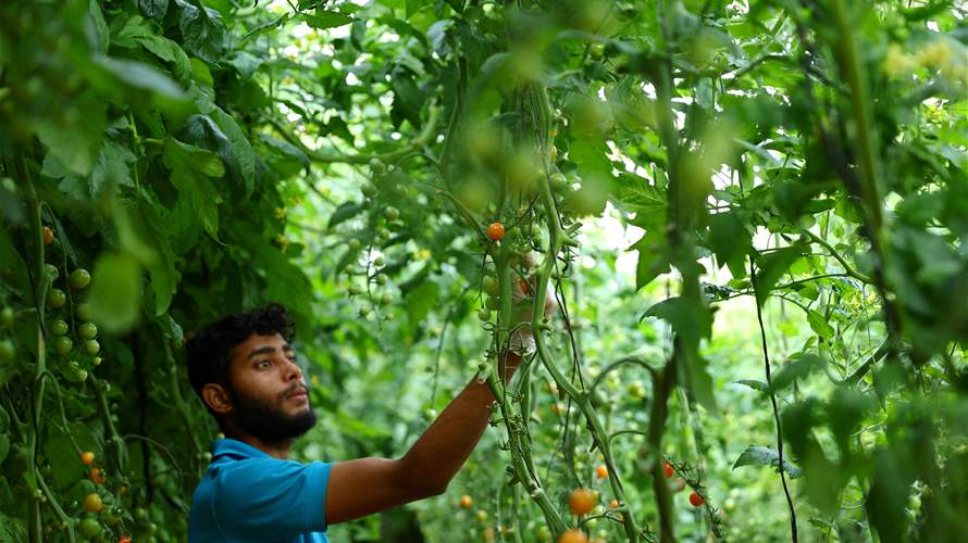 US, UAE climate-friendly farming fund grows to $13 bln