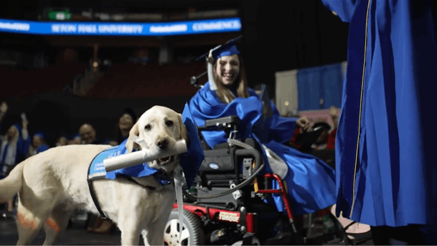 مشهد مؤثر... كلب ينال شهادة جامعية مع صاحبته (فيديو)