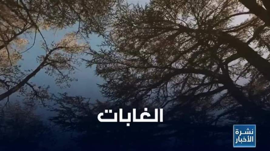التغير المناخي ينذر بكوارث في المستقبل.. فأين يقع لبنان من المشكلة والحلول؟