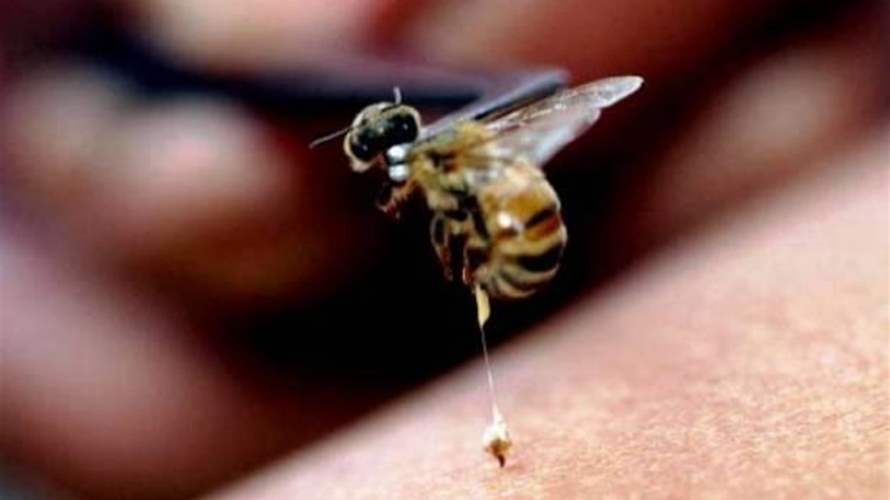 إكتشفوا "عن قرب" السبب خلف الألم الشديد الذي تسببه لدغة النحلة! (فيديو)
