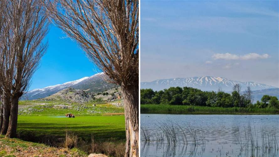 Ahla Bhal Talleh, Ahla: Ammiq: A serene village in Lebanon's Bekaa region offering a haven for nature enthusiasts  