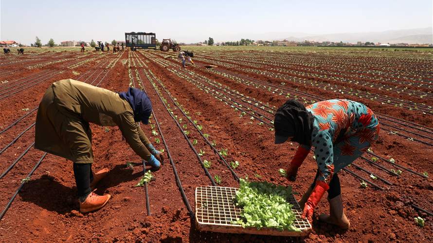 World Bank approves $200 million to tackle challenges faced by Lebanese farmers