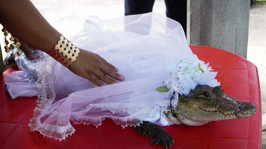 برقصة وقبلة... هكذا تزوج رئيس بلدية في المكسيك وأنثى تمساح! (فيديو)