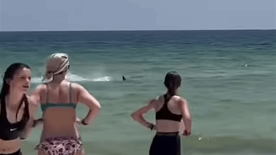 لحظات مرعبة... هجوم "مجنون" لسمكة قرش ضخمة قبالة سواحل فلوريدا! (فيديو)