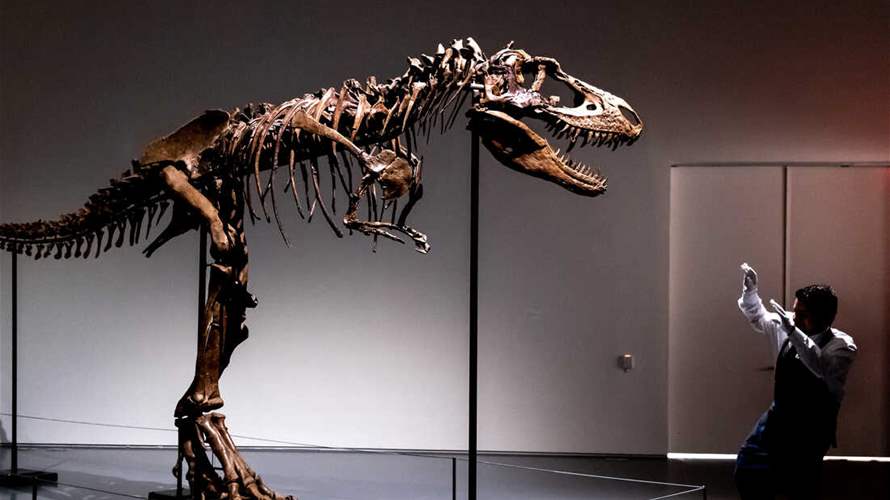 Dinosaur skeletons up for auction in New York