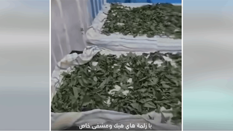 مشهد يوثق الفضيحة في بلد عربي... ممرضات يجففن "الملوخية" في قسم ولادة الأطفال وهذا مصير المستشفى! (فيديو) 