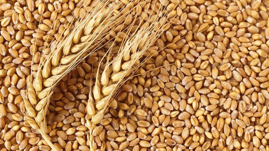 اعلان من وزارتي الزراعة والاقتصاد الى مزارعي القمح والشعير الراغبين بالاستفادة من الدعم