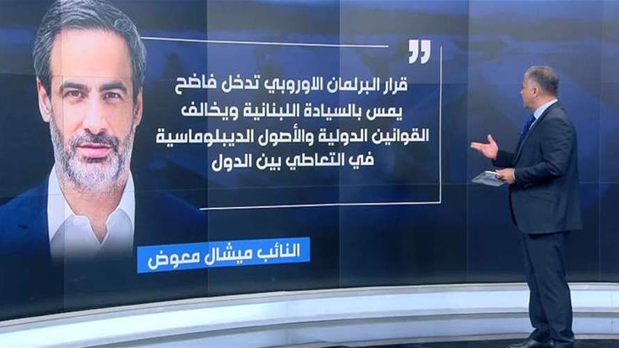 قرار البرلمان الأوروبي دعم إبقاء اللاجئين السوريين في لبنان لا يزال يتفاعل..
