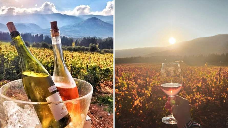 Château Kefraya ranks among the 'World's Best Vineyards,' putting Lebanon in the spotlight 