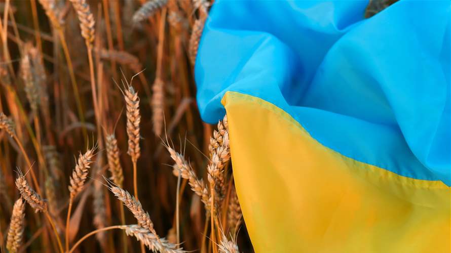 Germany calls on Russia to extend Ukraine's grain export agreement