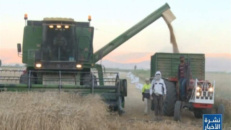 ٦٠ ألف طن من القمح في المستودعات بانتظار وزارتَي الاقتصاد والزراعة