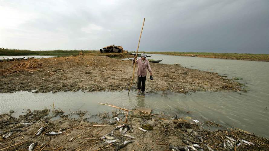 Iraq limits fish farms to rationalize water use in response to drought