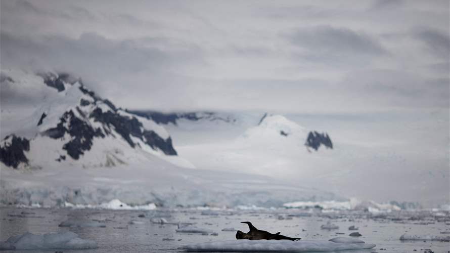 Scientists highlight lack of quick solution to restore Antarctic sea ice as warming intensifies