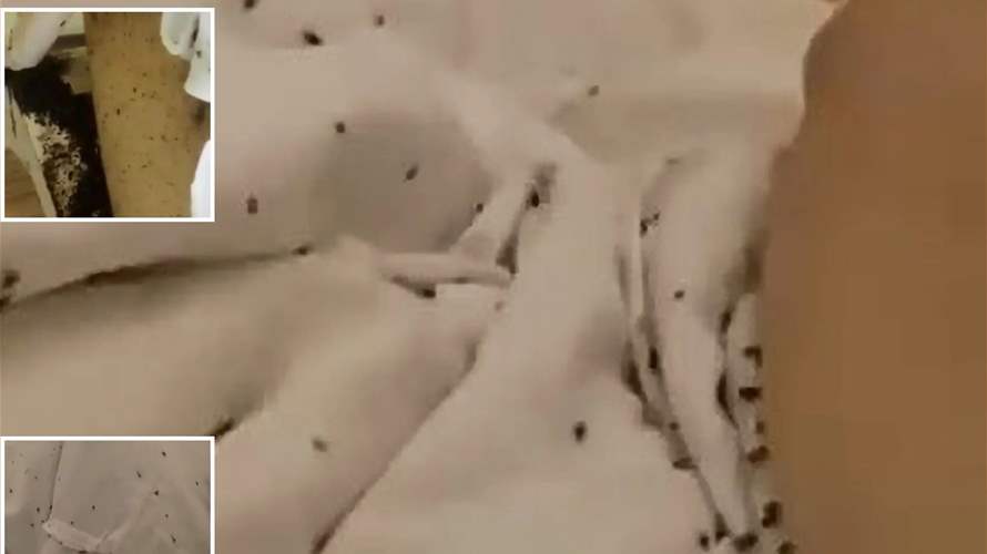 المئات من حشرات "البق" تغطي مريض مقيّد في الفراش... وفيديو يفضح مكان المستشفى وتفاصيل الحادثة! (فيديو)