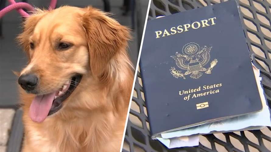 أكل له جواز سفره...  قبل أيام من الاحتفال الكبير: كلبٌ يخرّب زفاف العروسين!