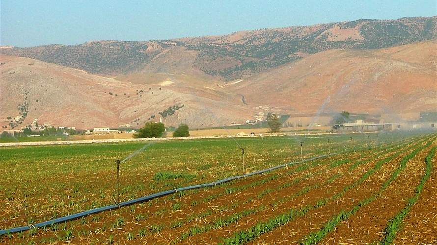 Action taken: Illegal agricultural chemicals pose health threats in Lebanon