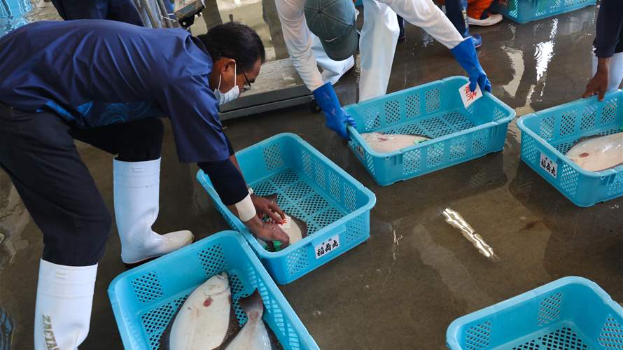 China suspends imports of Japanese seafood products 