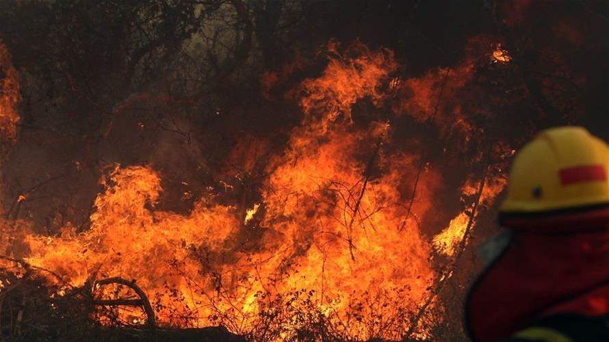 Bolivia Experiences Fires in Its Forests and Agricultural Lands