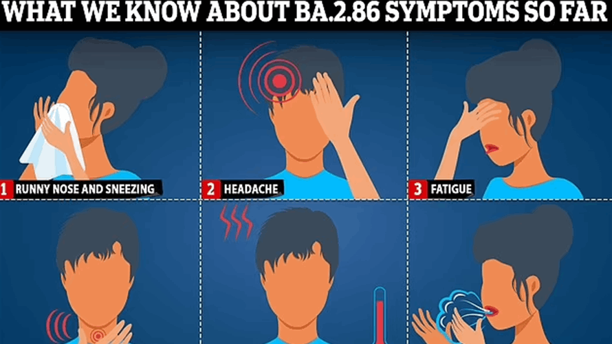 متحوّر كوفيد الجديد "بيرولا"... إليكم كل ماتحتاجون معرفته عنه!