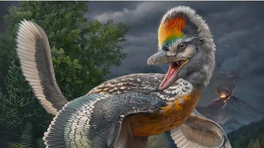 اكتشاف غريب ومحيّر...ديناصور يشبه الطيور!