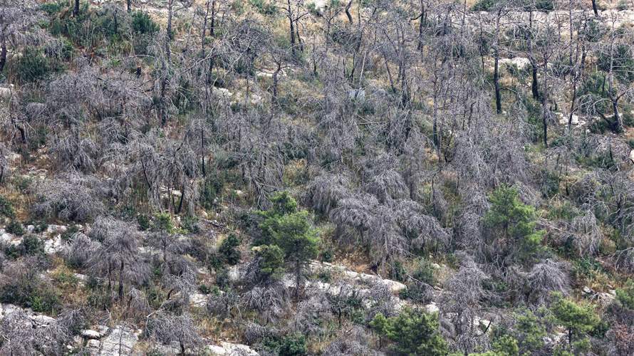 Water scarcity and forest fires burden Akkar residents in northern Lebanon