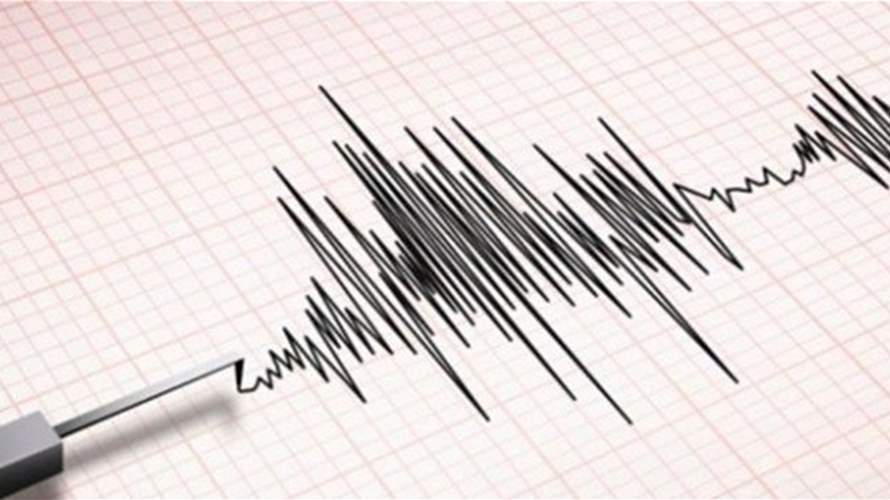 زلزال قوته 4.4 درجات على بعد عدة كيلومترات من عاصمة جورجيا