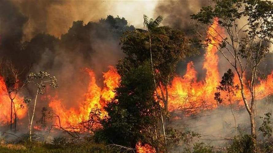 لبنان يعتمد على المبادرات المحلية لمواجهة حرائق الغابات... ياسين لـ"الشرق الأوسط": المساحات المحترقة تراجعت بنسبة 91%