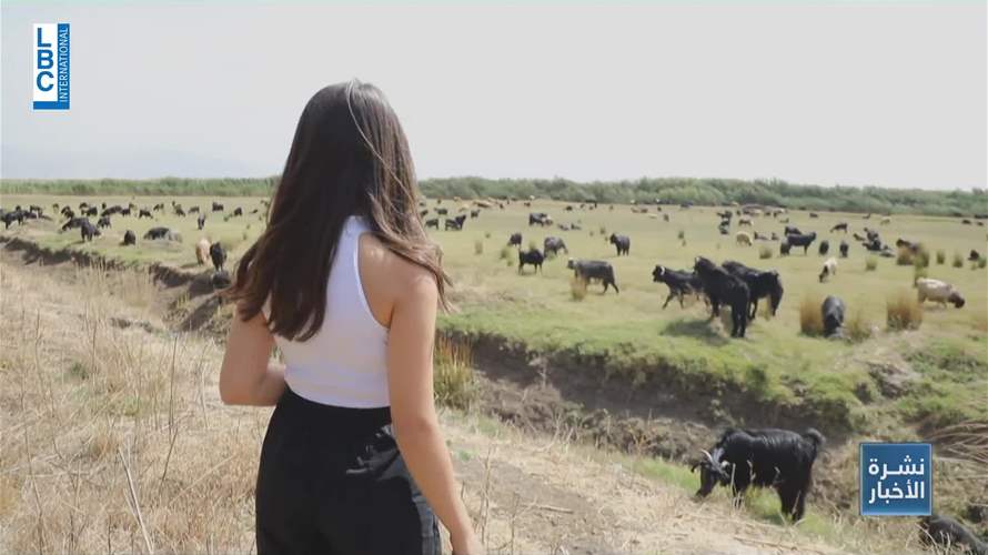 أحراج البقاع الغربي مهددة بالجفاف وبالتالي... الحرائق 