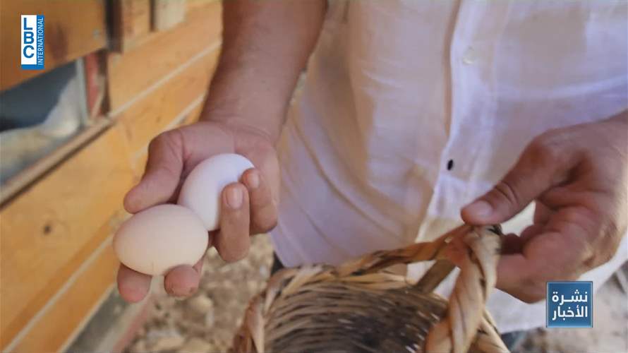 في زمن السياحة البيئية...لبنان Organic