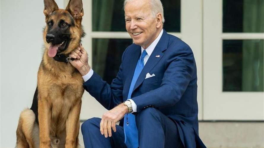 استبعاد كلب الرئيس الأميركي جو بايدن "كوماندر" من البيت الأبيض... وهذا هو السبب!