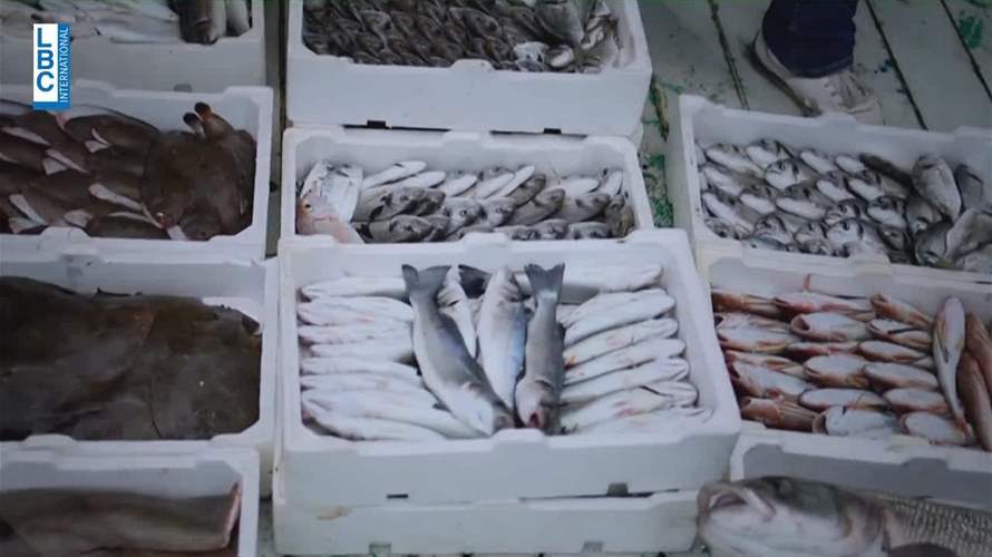 نسبة مرتفعة من الأسماك يستوردها لبنان.. فهل من خطة لخفض الاستيراد؟