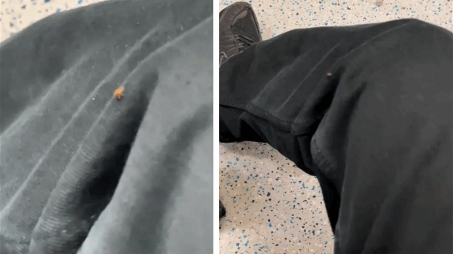  حشرات بق الفراش تنتشر في مترو أنفاق لندن... وسيدة توثّق اللحظة التي قفزت فيها الحشرة عليها! 