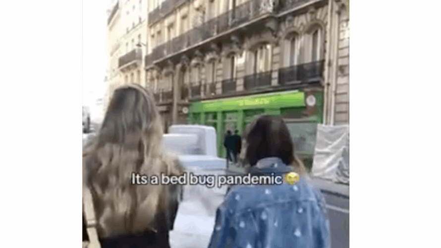 انتشار بق الفراش في باريس تابع... مشهد صادم في أحد الشوارع: ما علاقة الفنادق؟! (فيديو)