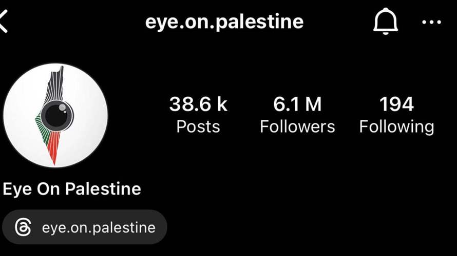 Instagram's ban on pro-Palestine account sparks outcry