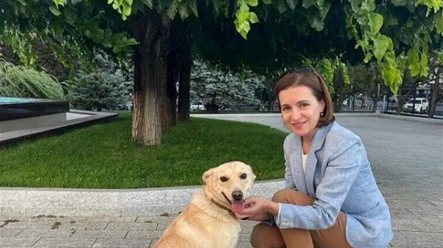 كلب الرئيسة المولدافية يعض رئيس النمسا خلال زيارة رسمية!