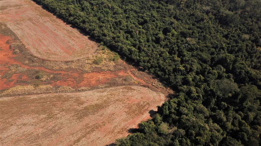 Brazil to propose wide fund to conserve forests at COP28 climate summit