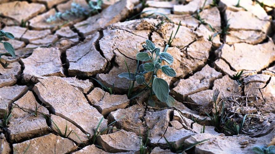 Drought Imposes Restrictions on Water Use for Agriculture in Iraq: Organization
