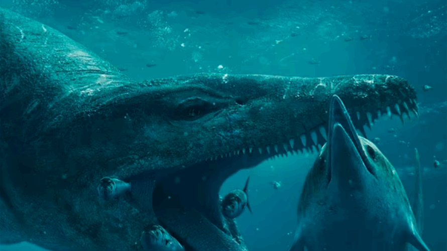 كان يجوب البحار منذ ما يقرب من 150 مليون سنة ويلقّب بـ"آلة القتل المطلقة"... اكتشاف جمجمة وحش بحري ضخم! (فيديو)